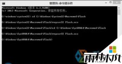 ����ľ�紿����win8ϵͳ�޷�����flash���������