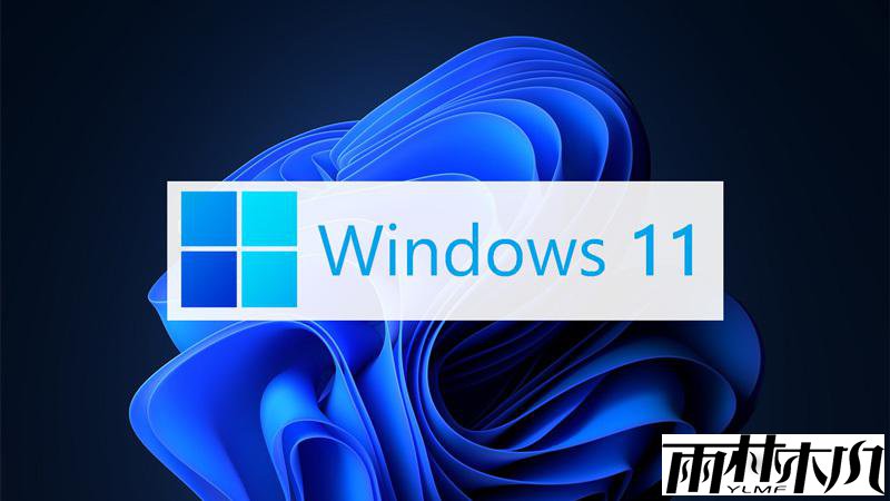 Windows11系统要怎么激活?