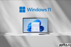 Windows11ϵͳ��װ�ʴ��ǳ���5%�û���