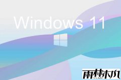 ����ľ��ϵͳwin11��ʽ����Ծ�����������������