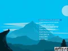 CowPE��Ѵ�����U��ϵͳ������ v1.2.5