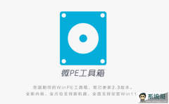 微PE U盘工具箱V2.3 64位下载