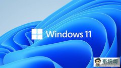 系统哥如何用U盘pe重装win11系统的问题