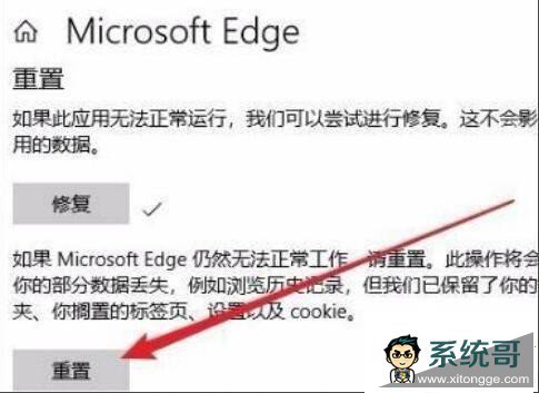 Win11无法启动浏览器