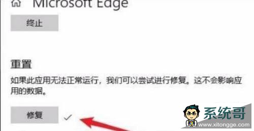 Win11无法启动浏览器