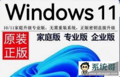 2025年全新Windows11系统永久