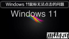Windows 11רҵ���������ܶ�ȴ�޷����������