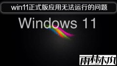 ����ľ��win11��ʽ��Ӧ���޷����е�����