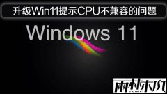 ����ľ��������Win11��ʾCPU�����ݵ�����
