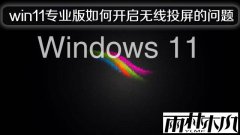 ����ľ��win11רҵ����ο�������Ͷ��������