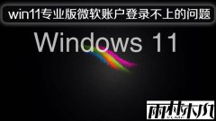 ����ľ����win11רҵ��΢���˻���¼���ϵ�����