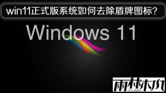 ����ľ��win11��ʽ��ϵͳ���ȥ������ͼ�ꣿ