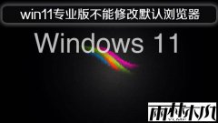 ����ľ��win11רҵ�治���޸�Ĭ�������������