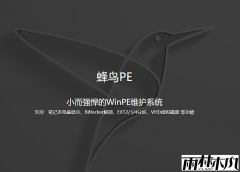 ���޹�洿���桿����PE-WinPE U�̹�������ά����