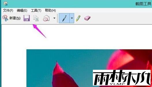 Win11怎么截屏?Windows11截屏怎么使用?