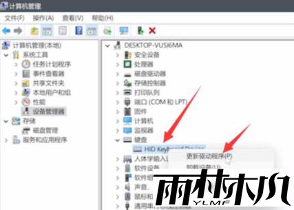 电脑升级Win11键盘不能用怎么办?Win11按键失灵解决办法