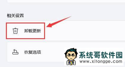 Win11一直黑屏转圈怎么办？Win11一直黑屏转圈的解决方法