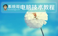 系统哥解决Win11专业版xb