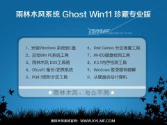 ����ľ��Win11 23h2 64λ����רҵ��YN2025.06